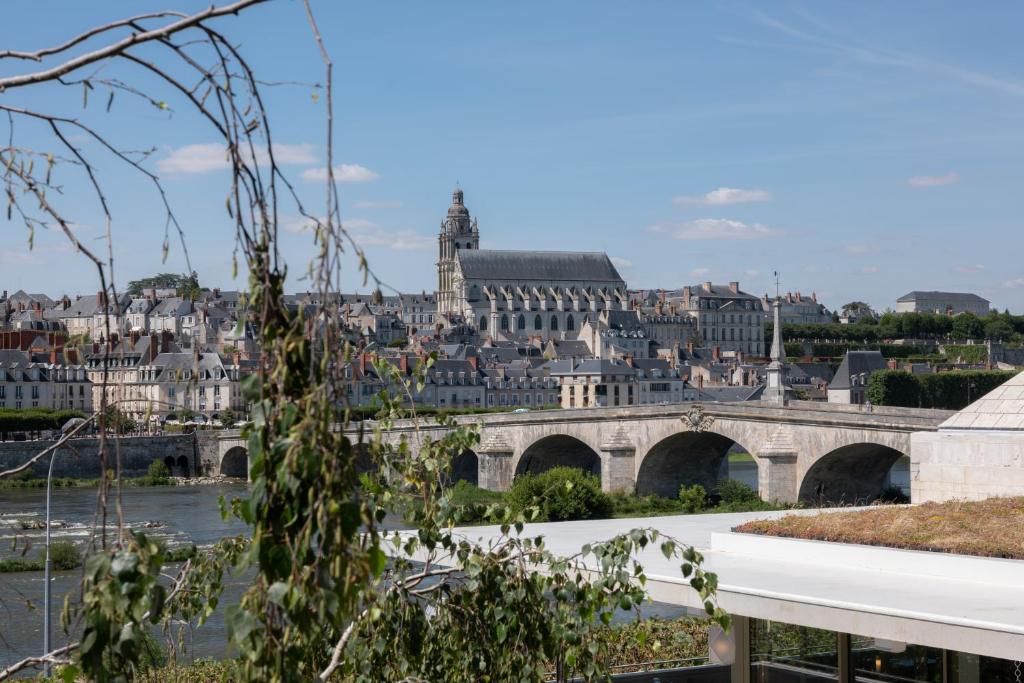 a view of a city with a bridge and buildings at Fleur de Loire in Blois