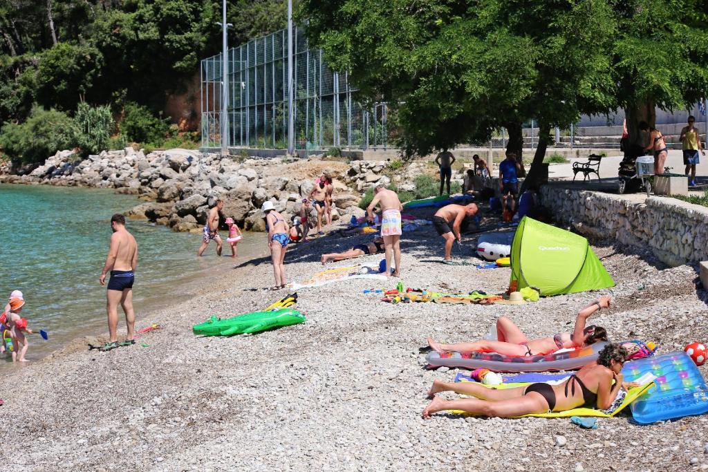 Príroda v okolí apartmánu