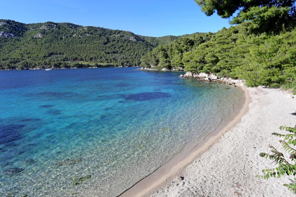 Príroda v okolí apartmánu