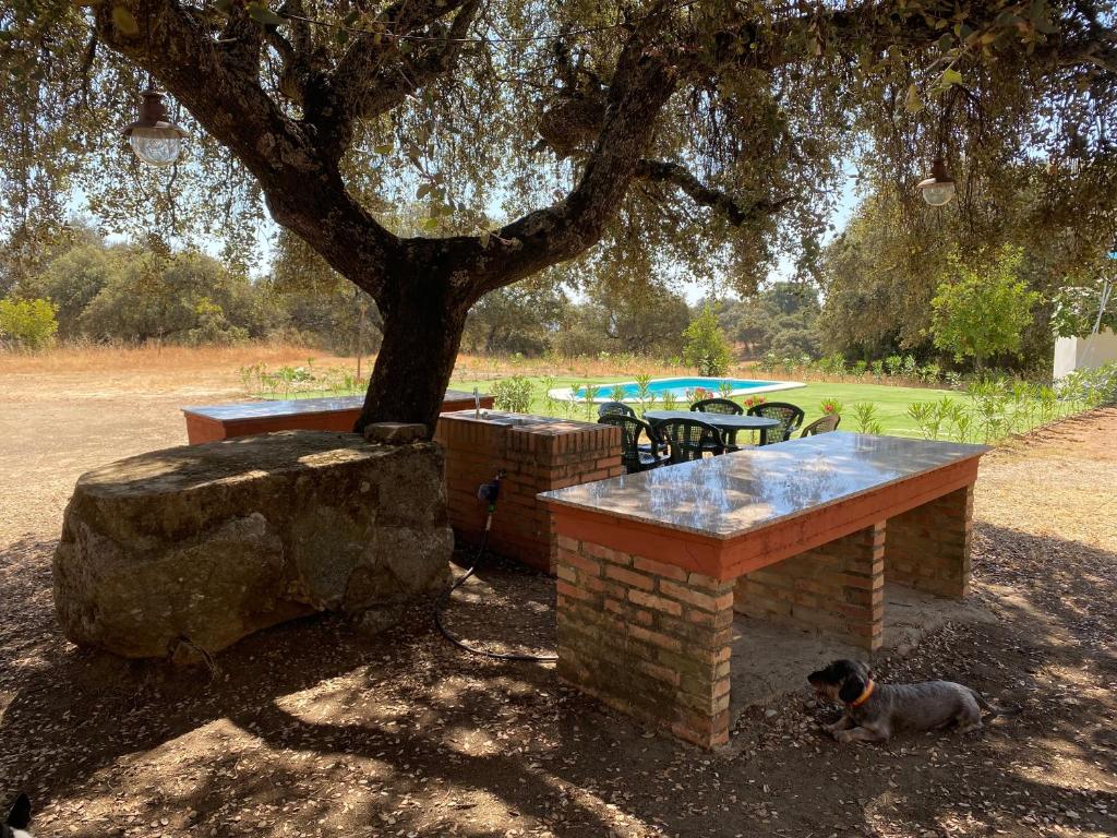 Zahrada ubytování Casa Valdevientos Alojamiento Rural