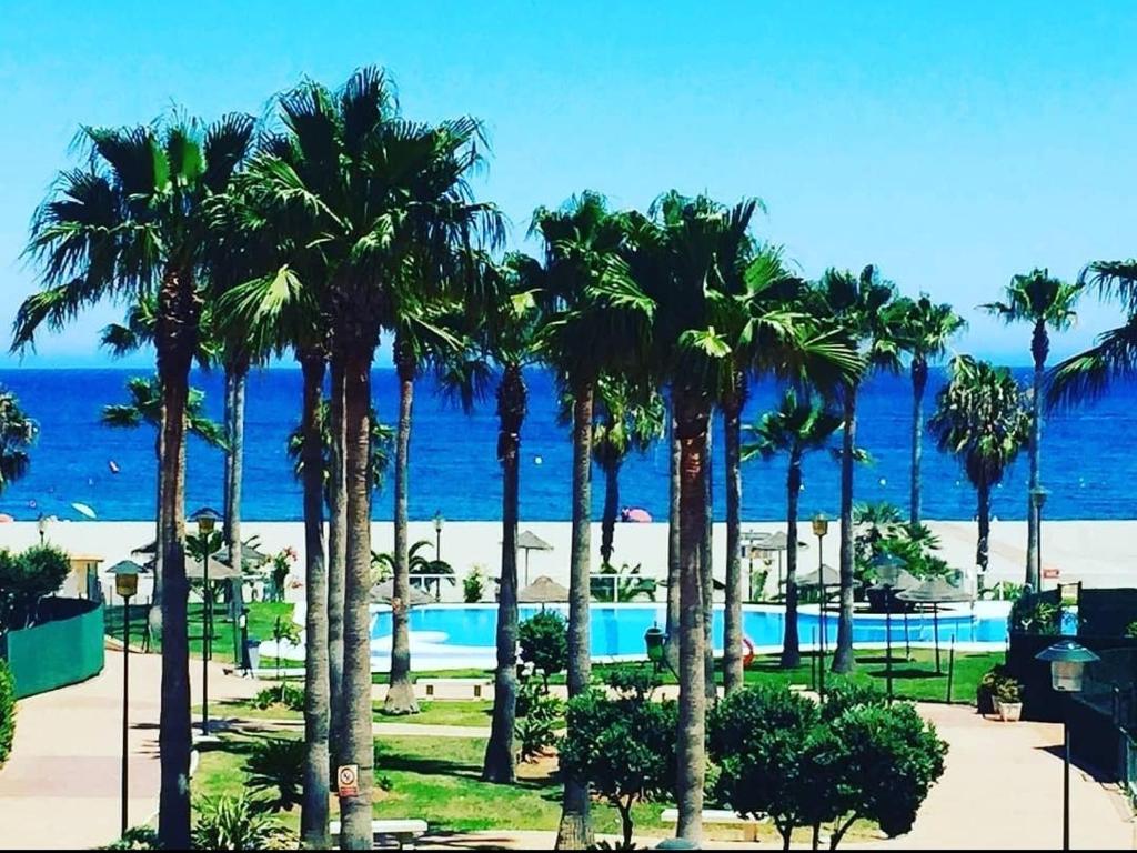 ロケタス・デ・マルにあるPrimera Linea De Playaのヤシの木が植わるリゾートからビーチの景色を望めます。