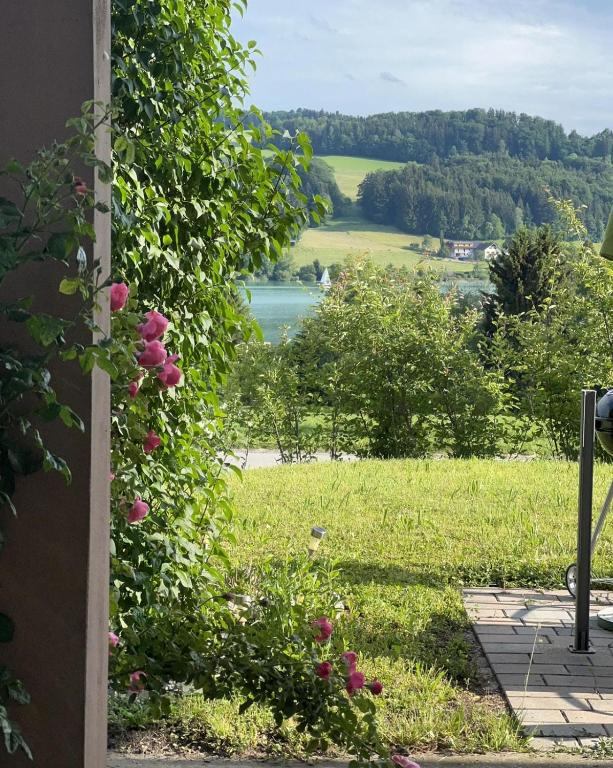 Príroda v okolí apartmánu