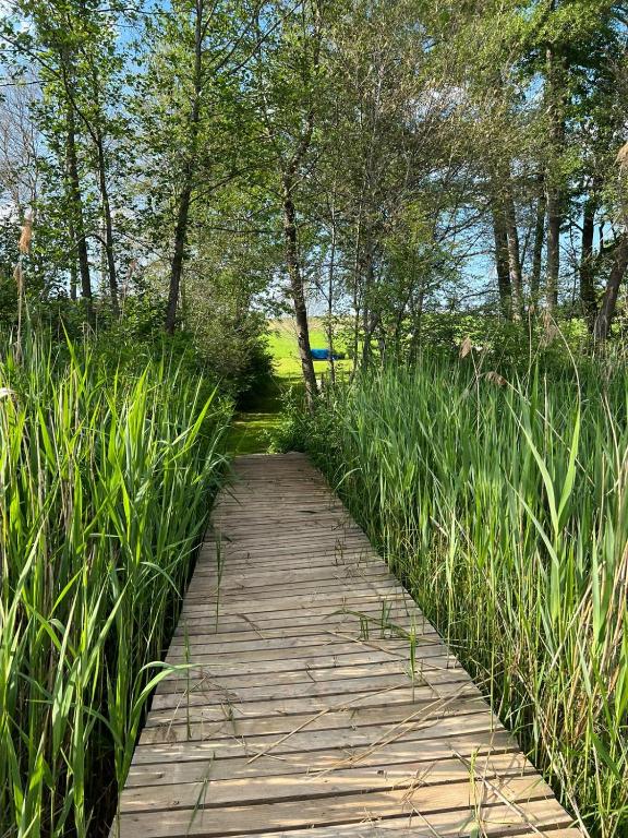 Vonkajšia záhrada v ubytovaní Ferienwohnung am Mattsee