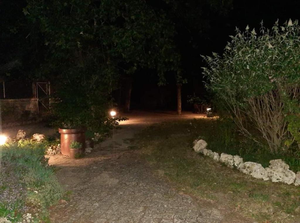 Zahrada ubytování L'orée du lac - Formule Chambres