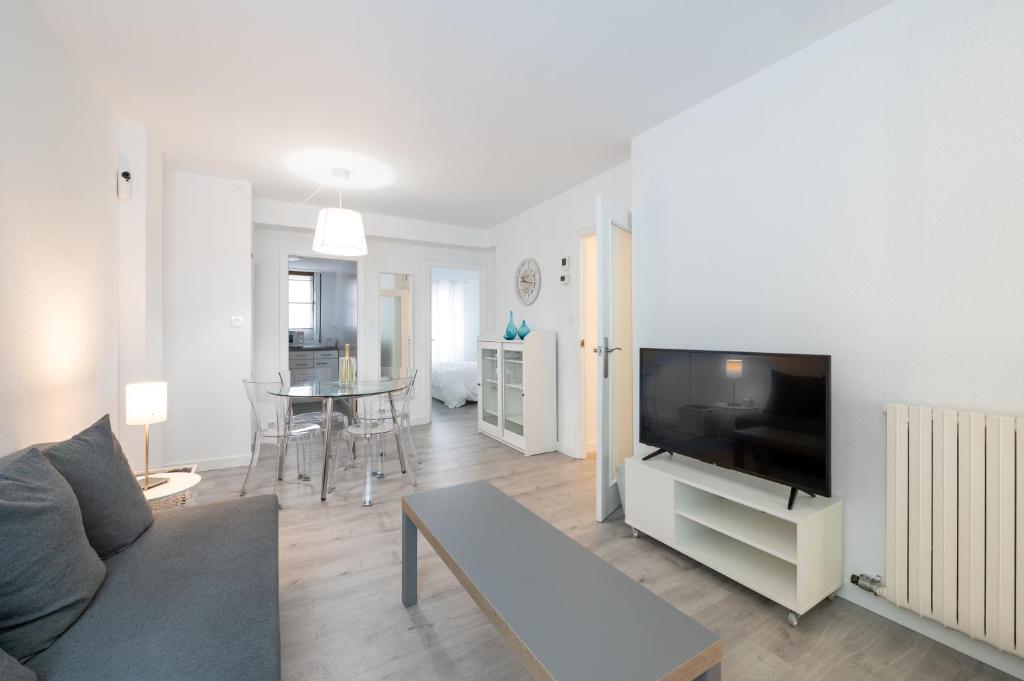 ein Wohnzimmer mit einem Sofa und einem Flachbild-TV in der Unterkunft Apartamento al lado de la Romareda in Saragossa