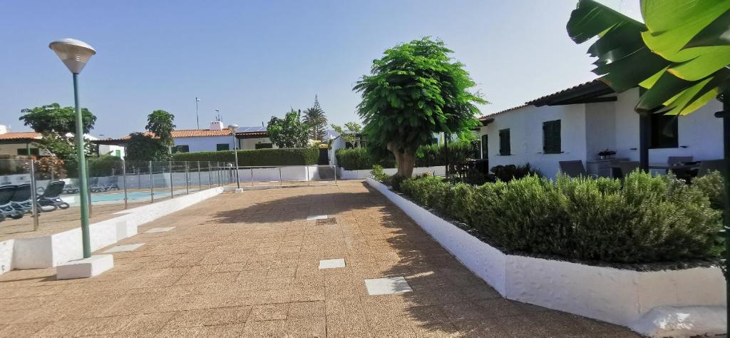 Zahrada ubytování Casa Maga