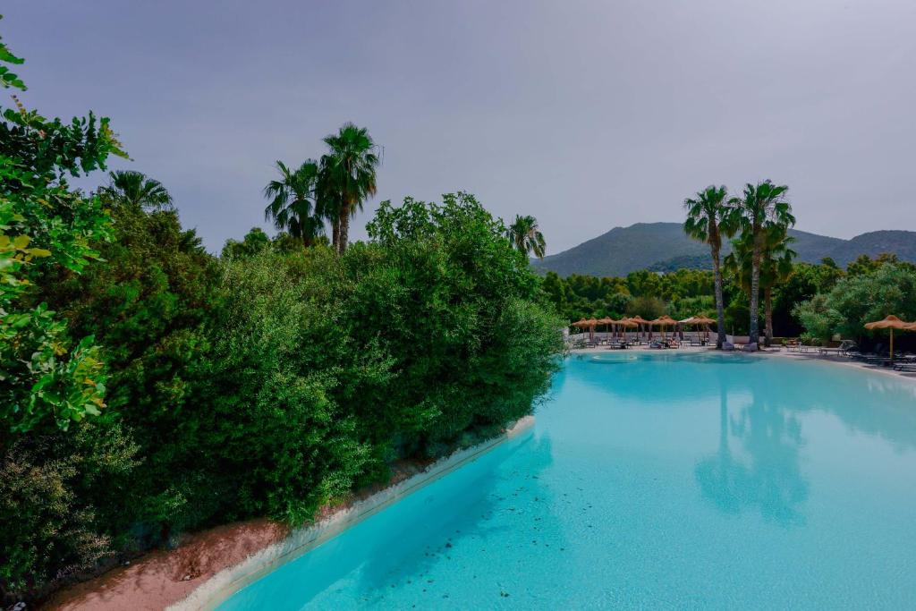 a swimming pool with blue water and palm trees at Il Monastero in Geremèas