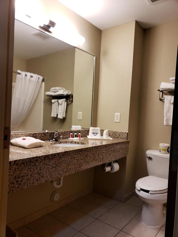 Days Inn by Wyndham Greensboro NC - 豪华大号床间 - 带两张大号床 - 禁烟