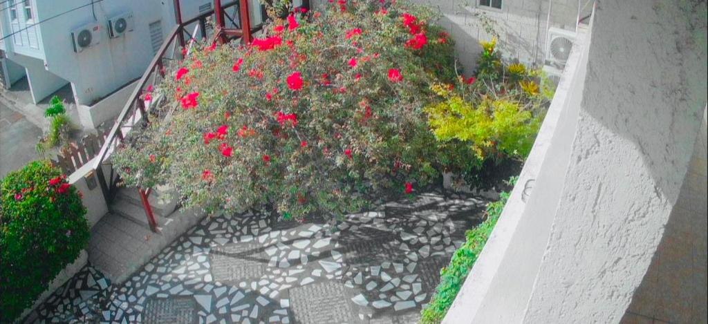 a planter with red flowers on a balcony at Beach Vue Barbados in Bridgetown