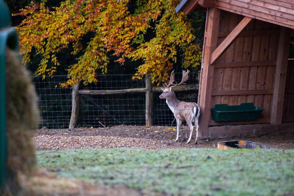 Amenity Hotel & Resort Špindleruv Mlýn - Resim 33