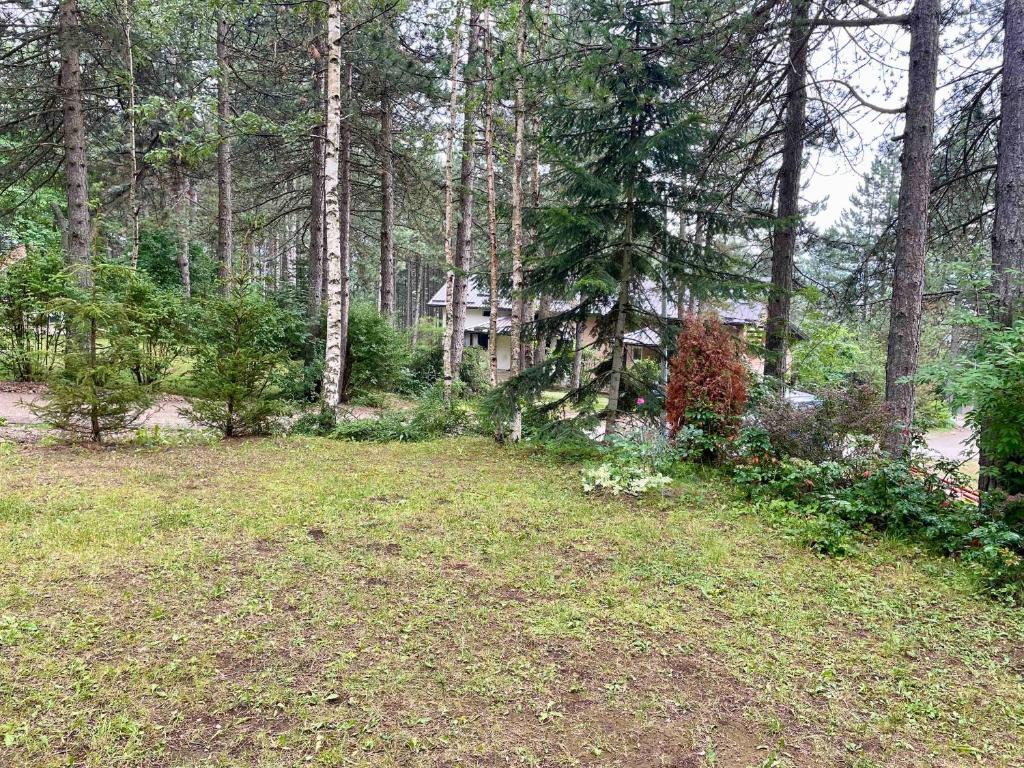 a yard with a house in the woods at Smeštaj Nedić Karaula in Zlatibor