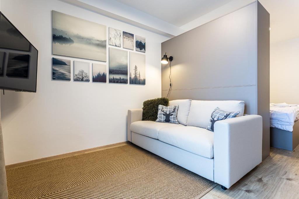 Klínovec-Apartments - Studio