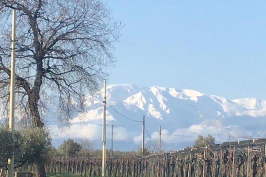 una montaña cubierta de nieve frente a una valla en “La Casetta del 1930” Historic unit from early '900 en Ortona