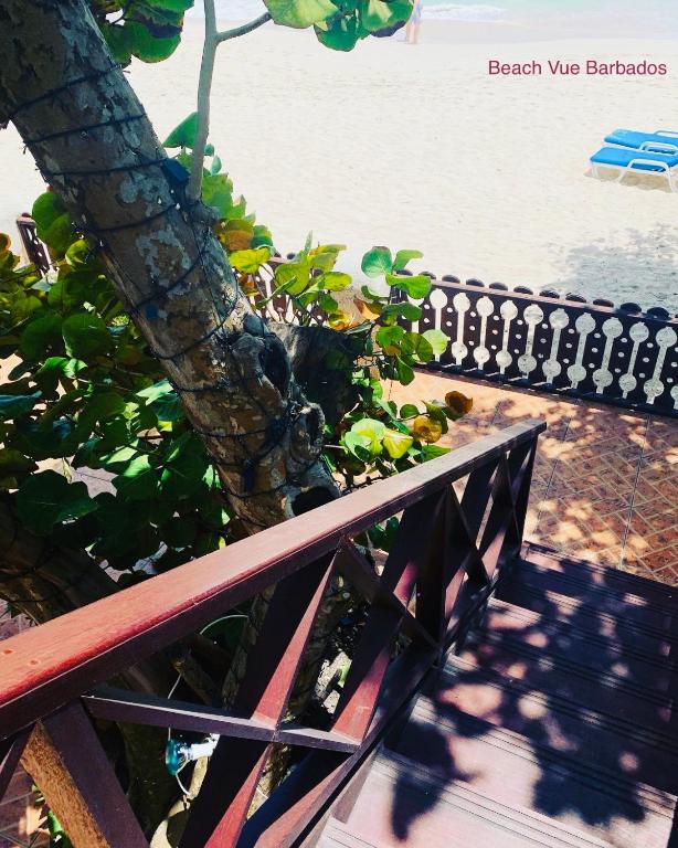 a bench sitting next to a tree next to the water at Beach Vue Barbados in Bridgetown