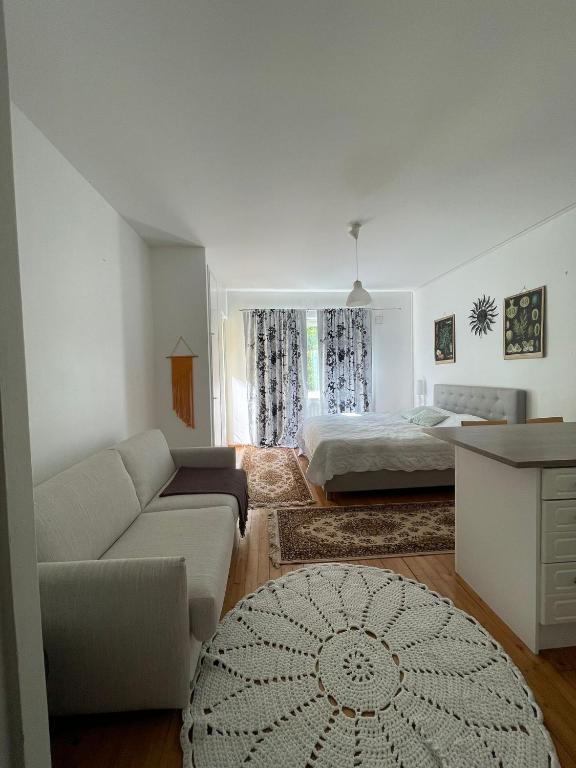 ein Wohnzimmer mit einem Sofa und einem Bett in der Unterkunft Lämminhenkinen yksiö Port Arthurissa in Turku