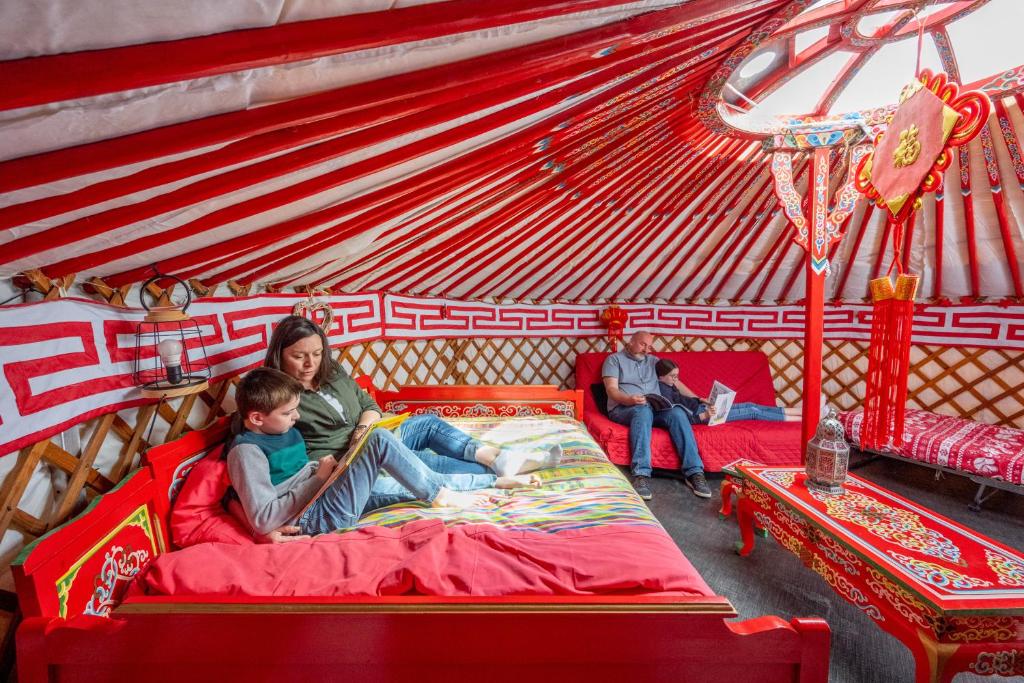 Logements insolites à la ferme - Yourte, Kota ou Pod - Tent