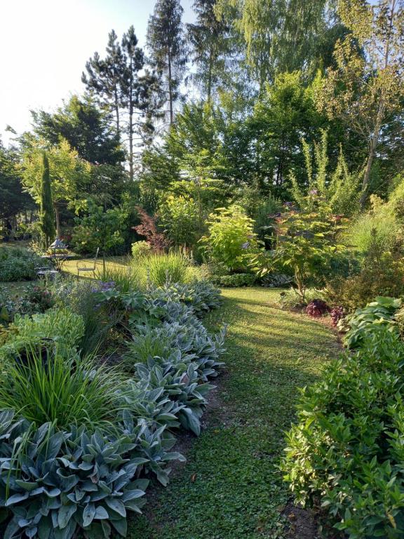 un jardin avec une variété de plantes et d'arbres dans l'établissement La Haie à Cerf, à Watronville