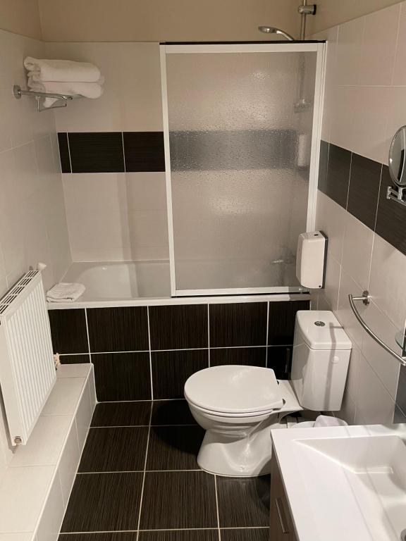 a bathroom with a toilet and a shower and a sink at Hôtel les Platanes in Villeneuve-sur-Lot