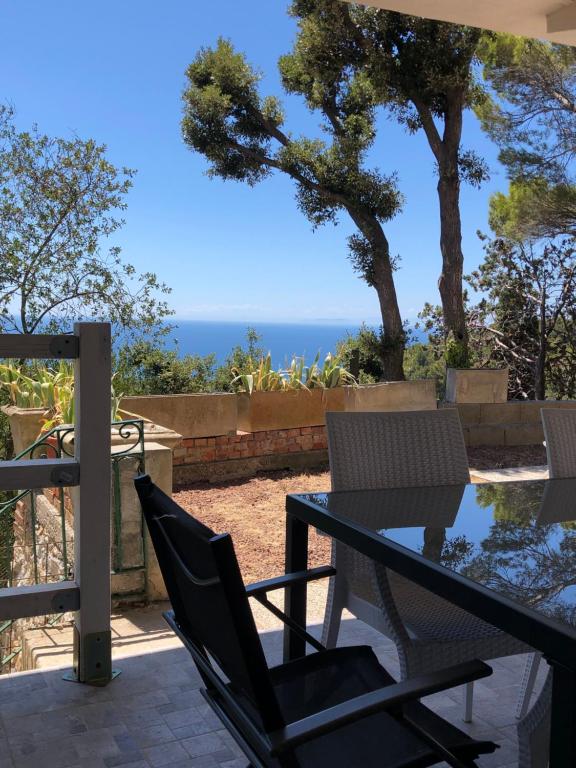 Montenero的住宿－Villa Erika，一个带桌椅的庭院和大海