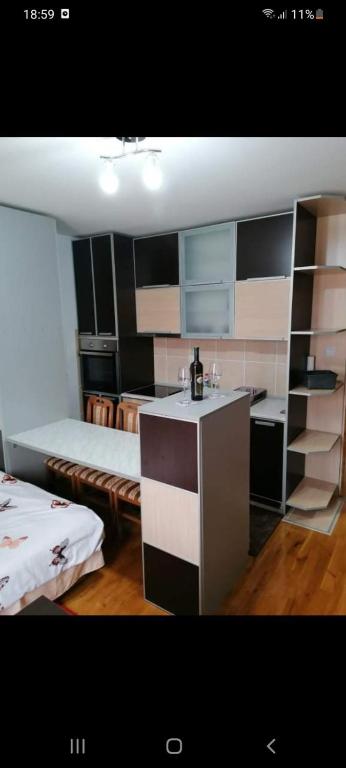 a small room with two beds and a kitchen at Apartman Elena in Vrnjačka Banja