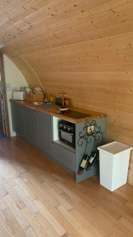 a kitchen with a counter and a stove in a room at Railway Pod, Castlewellan in Castlewellan