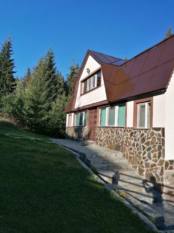 a house with a brown roof and a stone driveway at Cabana Rânca in Ranca