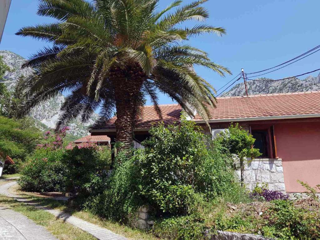 Zahrada ubytování Villa Palma