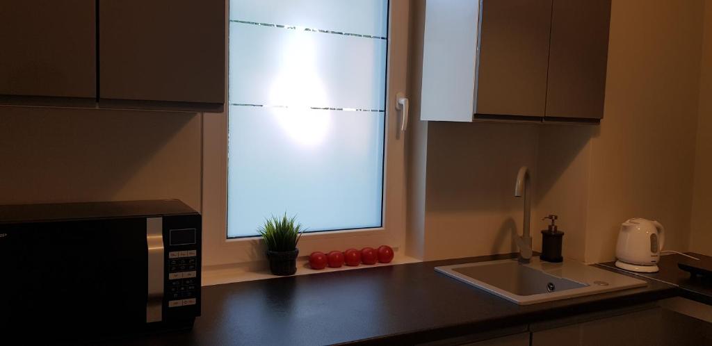 kuchnia z oknem nad zlewem kuchennym w obiekcie White Room Wrocław przy Wyspie Opatowickiej we Wrocławiu