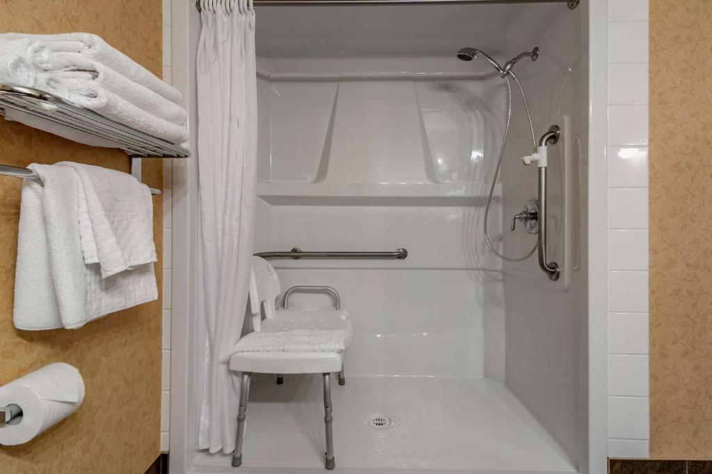 Koupelna v ubytování Best Western Sicamous Inn