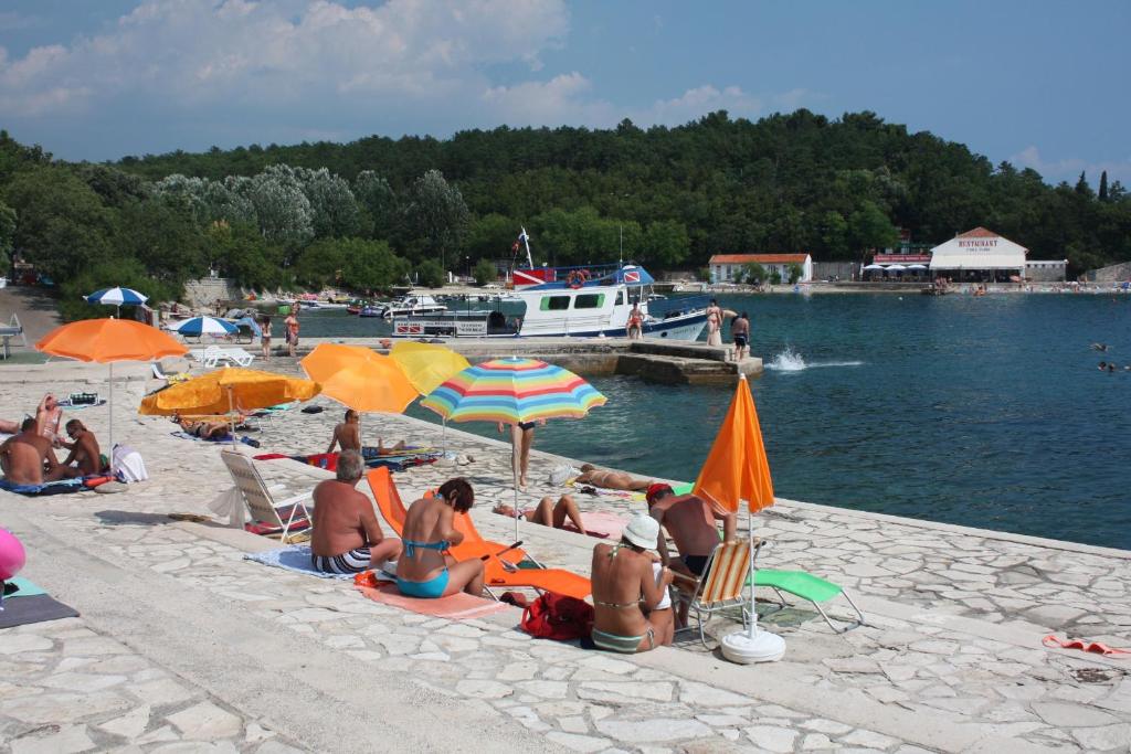 Příroda nedaleko apartmánu