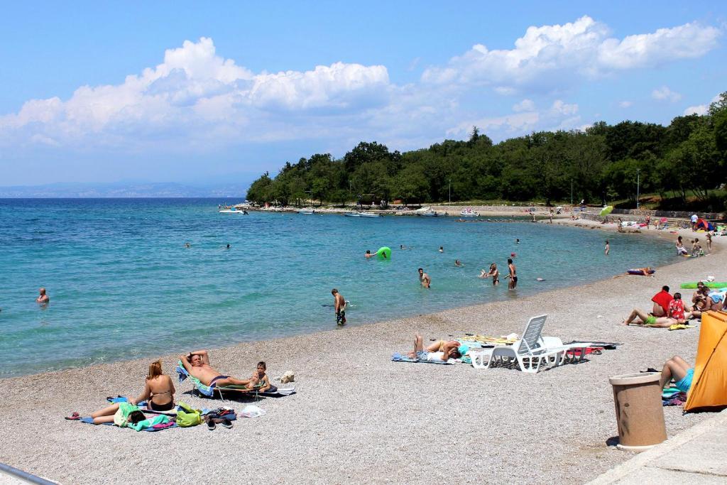 Príroda v okolí apartmánu