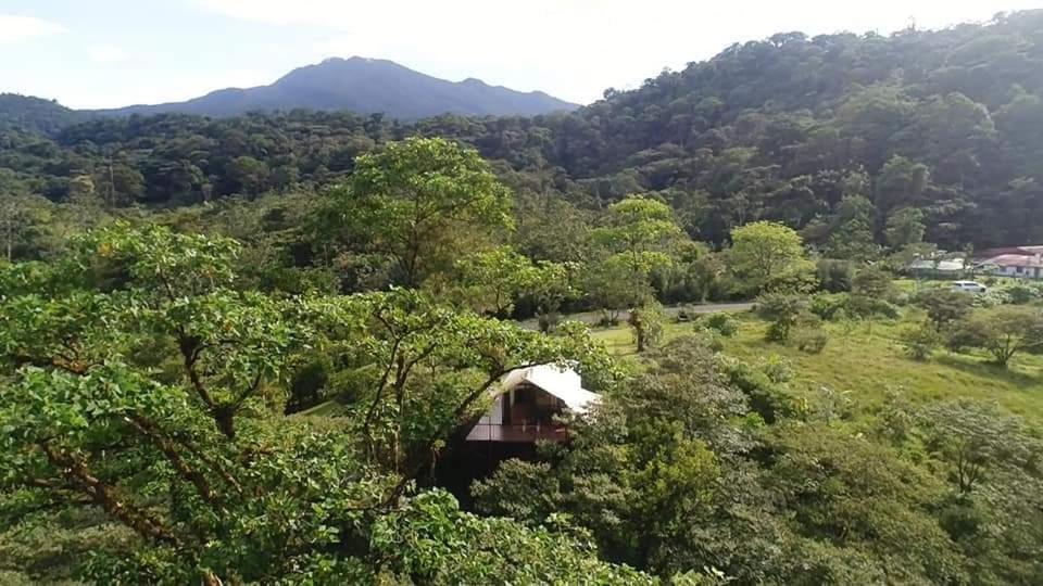 una pequeña cabaña en medio de un bosque en Garza del Sol Glamping Río Celeste Buganvilia en San Rafael