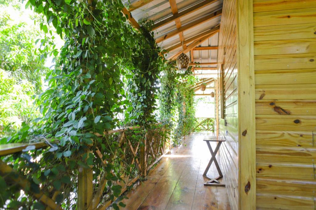 Zahrada ubytování EL GALLO ECOLODGE