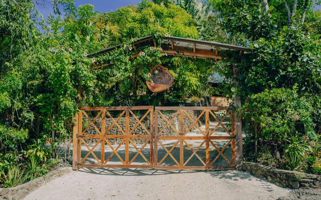 Zahrada ubytování EL GALLO ECOLODGE