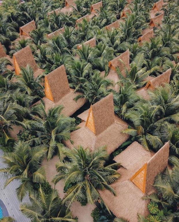 Phi Phi CoCo Beach Resort外面的花园
