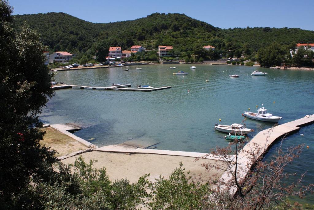 Príroda v okolí apartmánu
