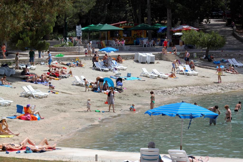 Hostia v ubytovaní Apartments with a parking space Mali Losinj (Losinj) - 3441