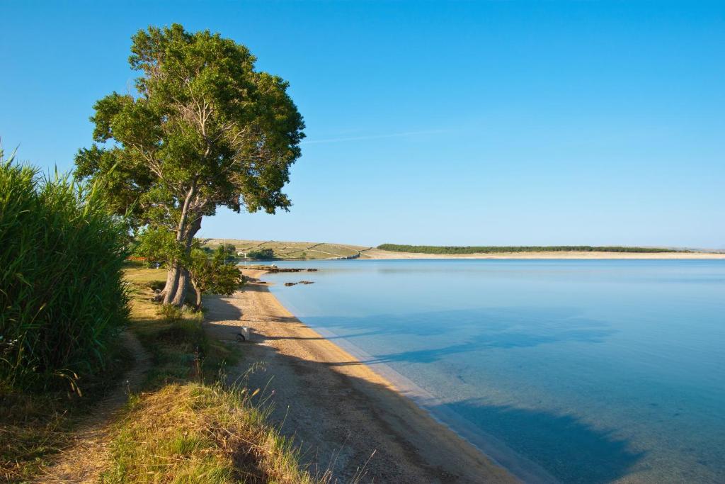 Przyroda w pobliżu tego apartamentu