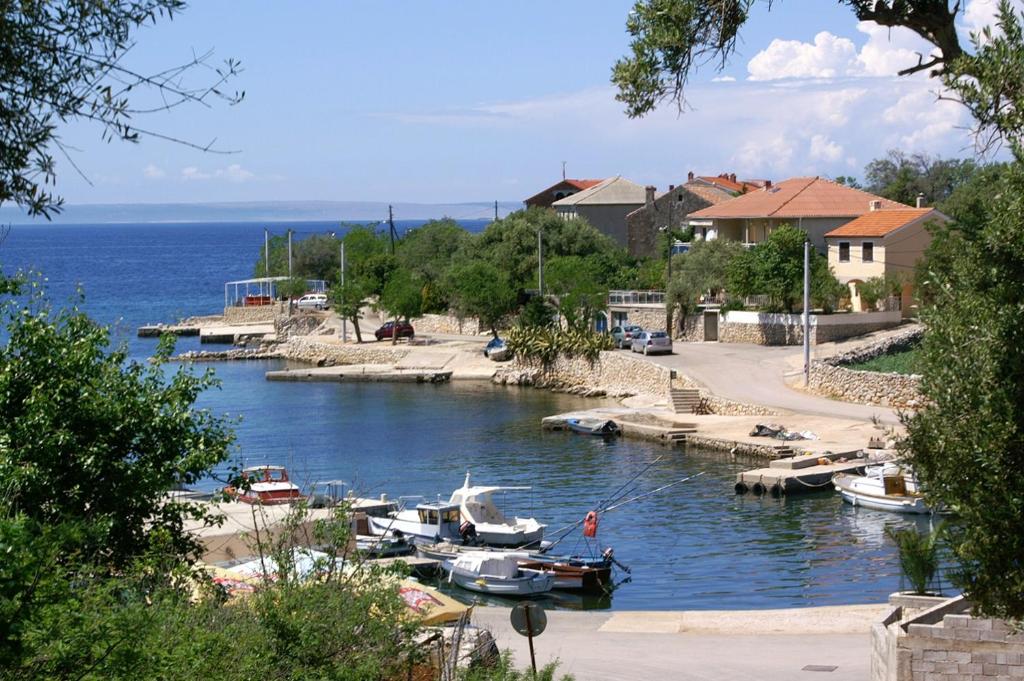 Príroda v okolí apartmánu