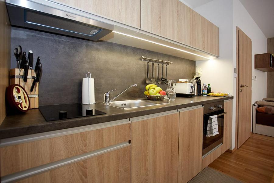 Kuchyň nebo kuchyňský kout v ubytování Apartment Rezidence - Javor & Wellness