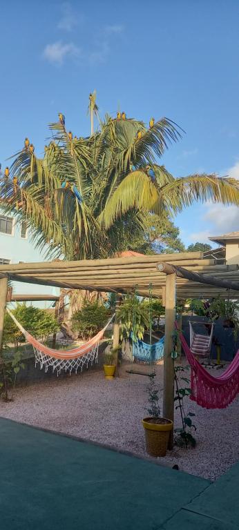 a patio with hammocks and a palm tree at POUSADA CANTO DOS PÁSSAROS in Alto Paraíso de Goiás