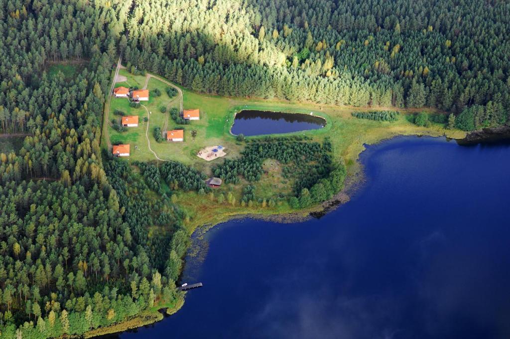 an aerial view of a house in a forest next to a lake at Ośrodek wypoczynkowy Jezioro in Studzienice