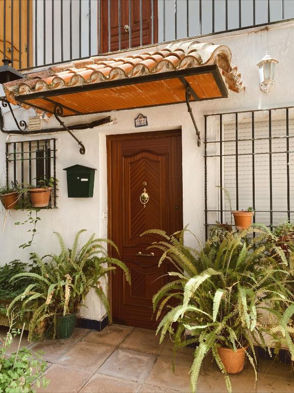 Fotografie z fotogalerie ubytování Casa Manuel Apartamento v destinaci Córdoba