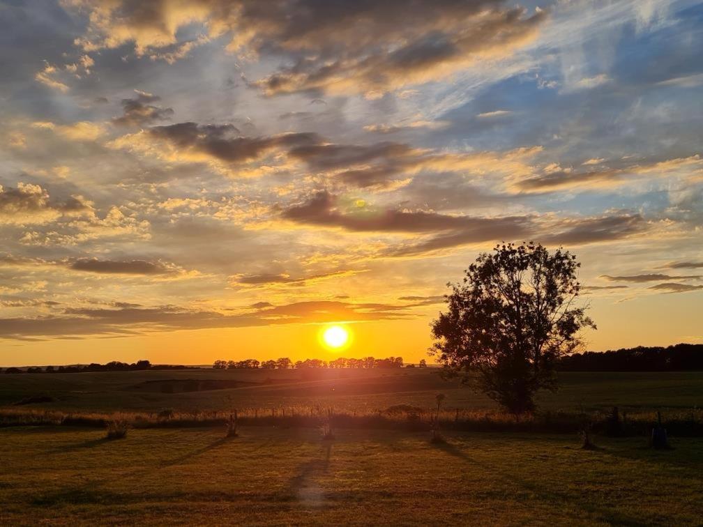 einen Sonnenuntergang auf einem Feld mit einem Baum im Vordergrund in der Unterkunft Varigny 