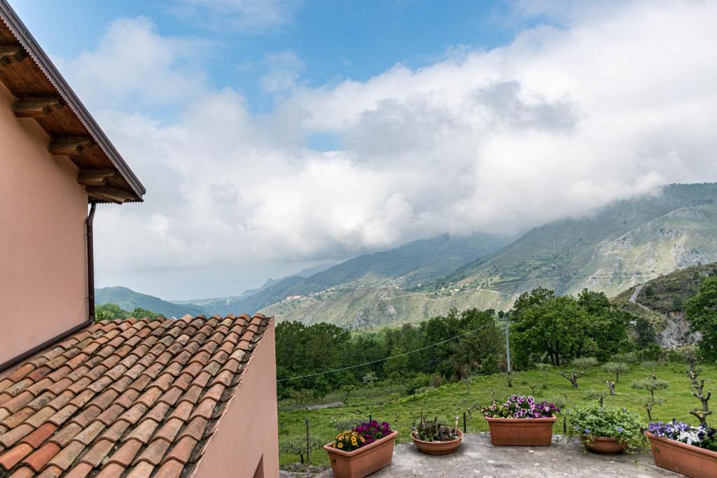 een uitzicht op een berg vanuit een huis met bloempotten bij Agriturismo Terrerosse Di Massadita in Aieta
