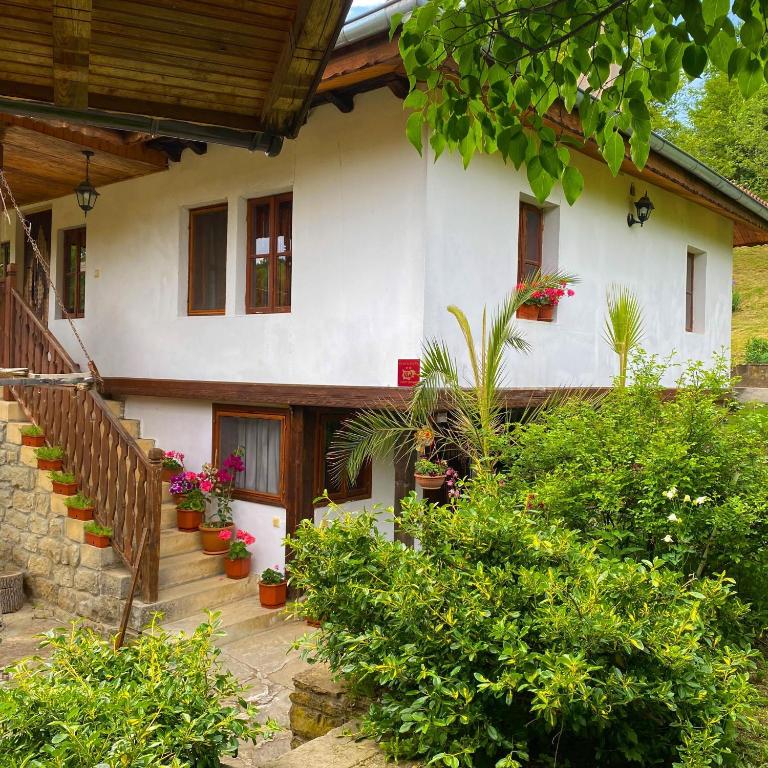 a house with potted plants in front of it at Вила Любима in Yakovtsi