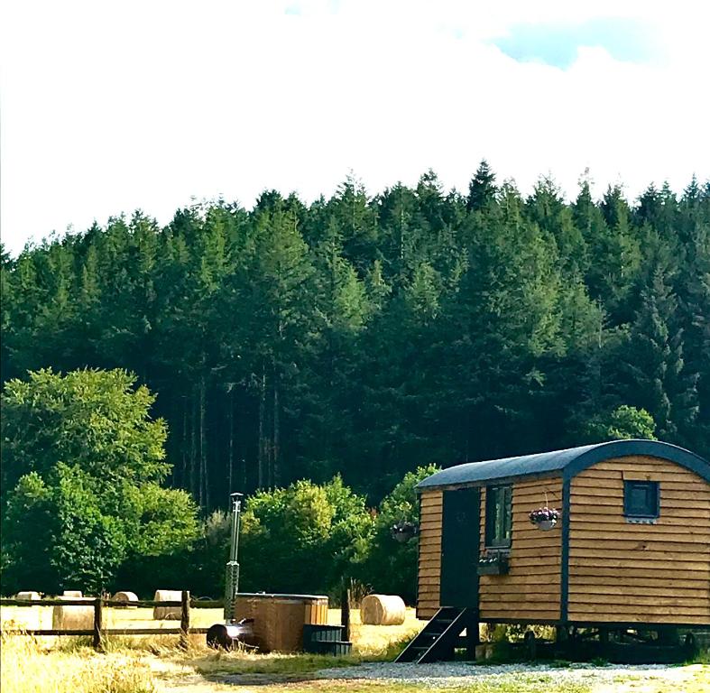 a small wooden shed in front of a forest at Roosters Retreat in Launceston