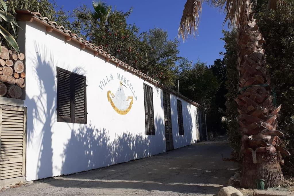 a white building with a palm tree next to it at villa marcella casa vacanza in Grottazzolina