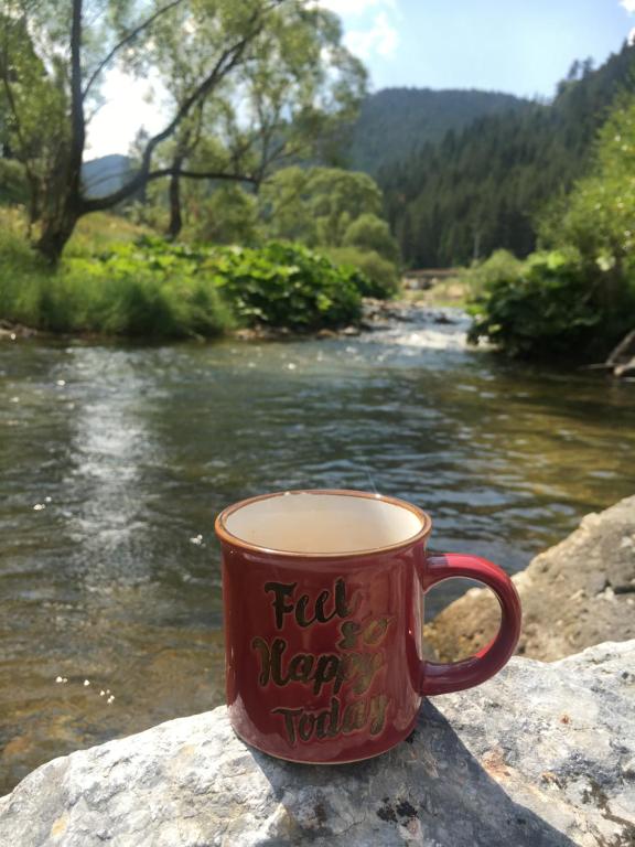 a red coffee cup sitting on a rock next to a river at Къща край реката - Триград in Trigrad