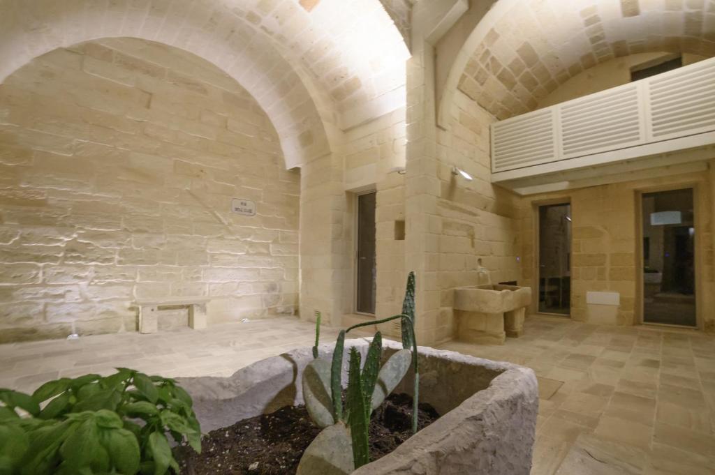 Fotografie z fotogalerie ubytování Vico dell' Elce v destinaci Lecce